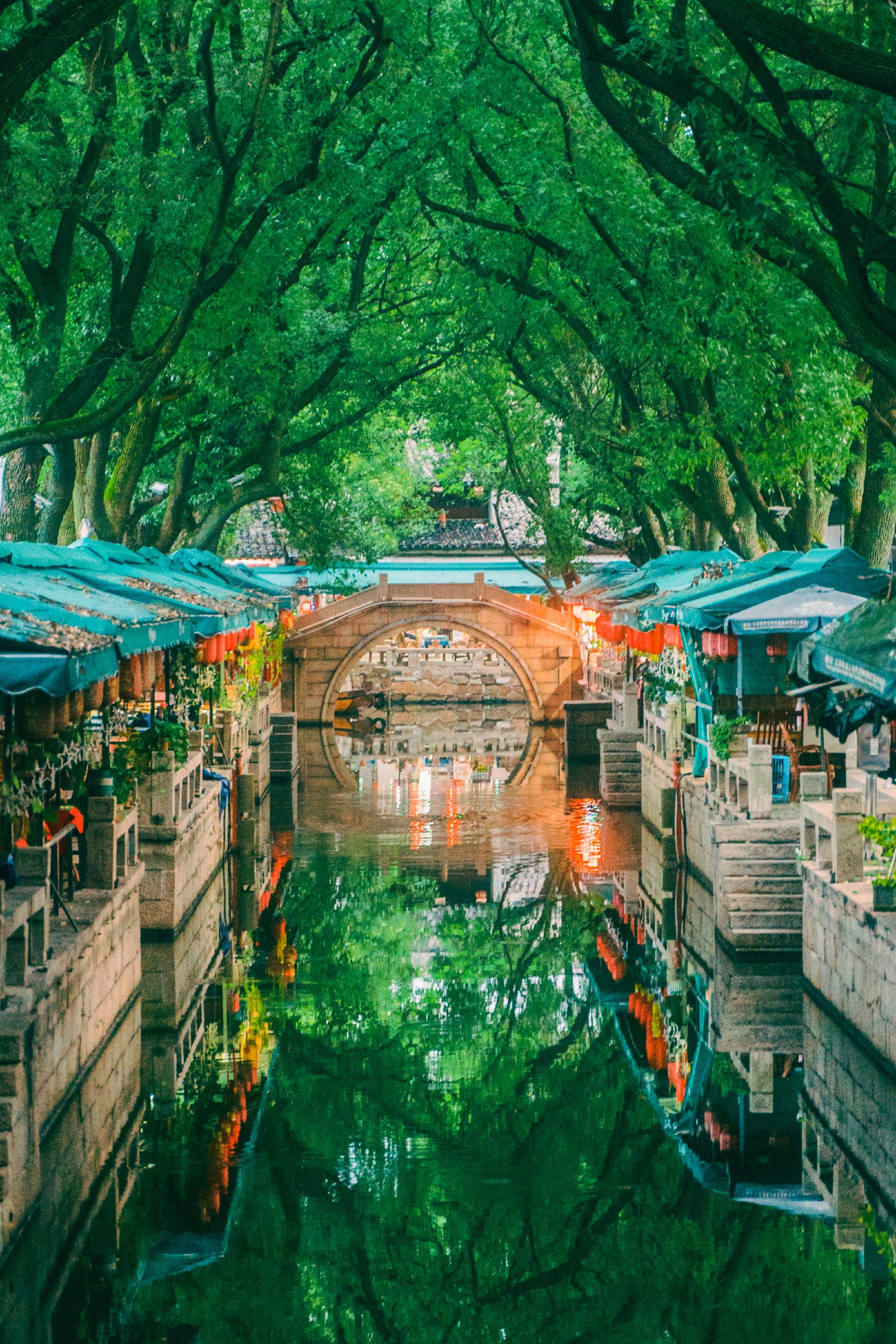 逛苏州古镇,感受江南风景