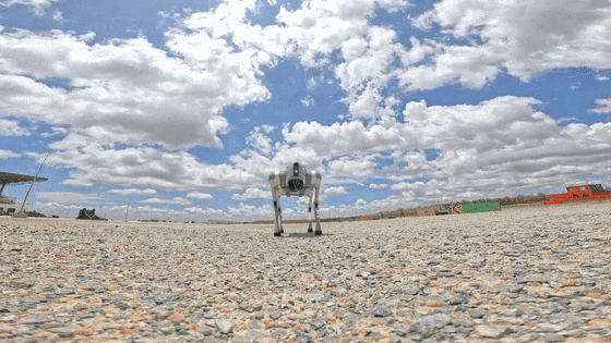 ▲给大家表演一个小节目