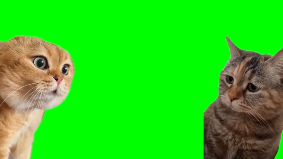 为了便于网友创作,甚至还有up分p整合了所有猫meme的绿幕素材,让大家