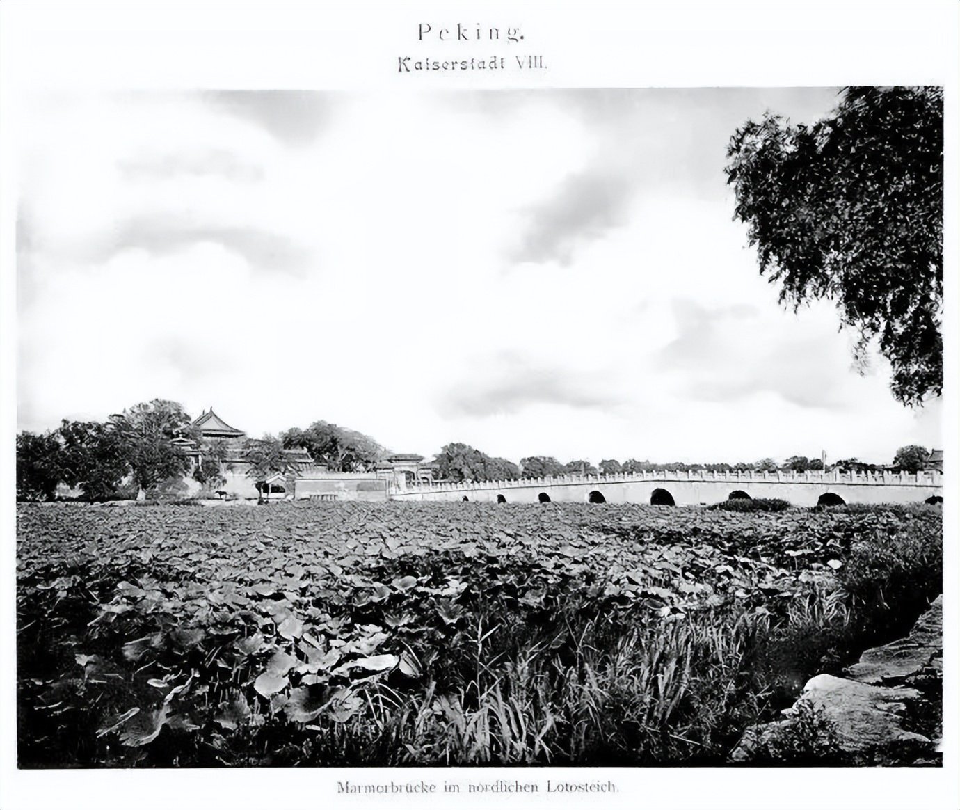 祥子跑过的北京,现在什么样?