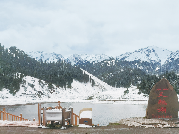 南山暴雪 城区暴雨 专家解读这场"暴脾气"天气