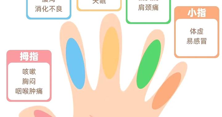 五指六经络:手指刮痧疏通五脏六腑,百病消|手指|刮痧|五脏六腑_新浪新闻