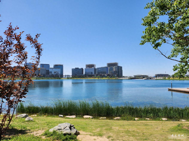 在这里邂逅郑州夏日里的浪漫