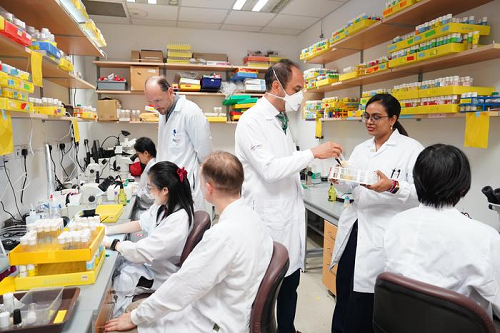 图片来源:杜克-新加坡国立大学医学院科技日报记者68张梦然杜克
