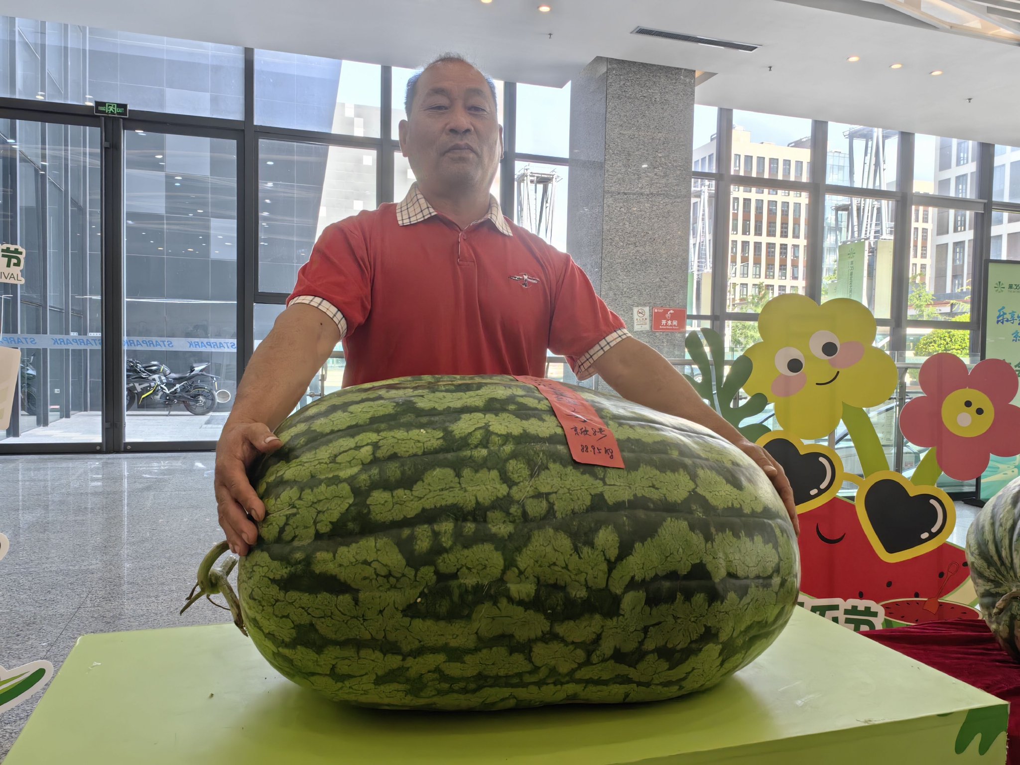 177.9斤"瓜王"亮相第36届北京大兴西瓜节