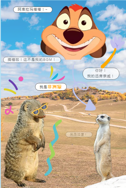 动物印象丨锵锵!欢迎来到非洲獴变"废"为宝的"新"家