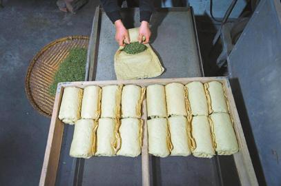 红星镇有良种茶园21000余亩,茶叶年产量达 3000 余吨,茶产业是全镇