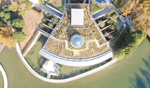 初夏的远香湖畔风景如画