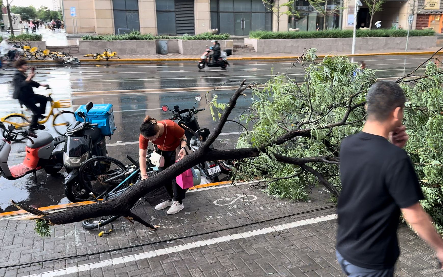 华北大风为何风力异乎寻常 11级大风到底有多强