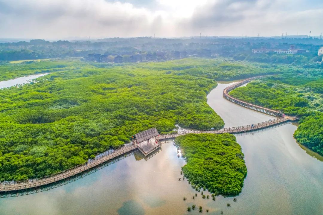 4条旅游线路,玩乐5天不重样!周末"趣"玩在澄迈