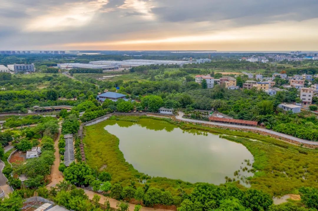 4条旅游线路,玩乐5天不重样!周末"趣"玩在澄迈