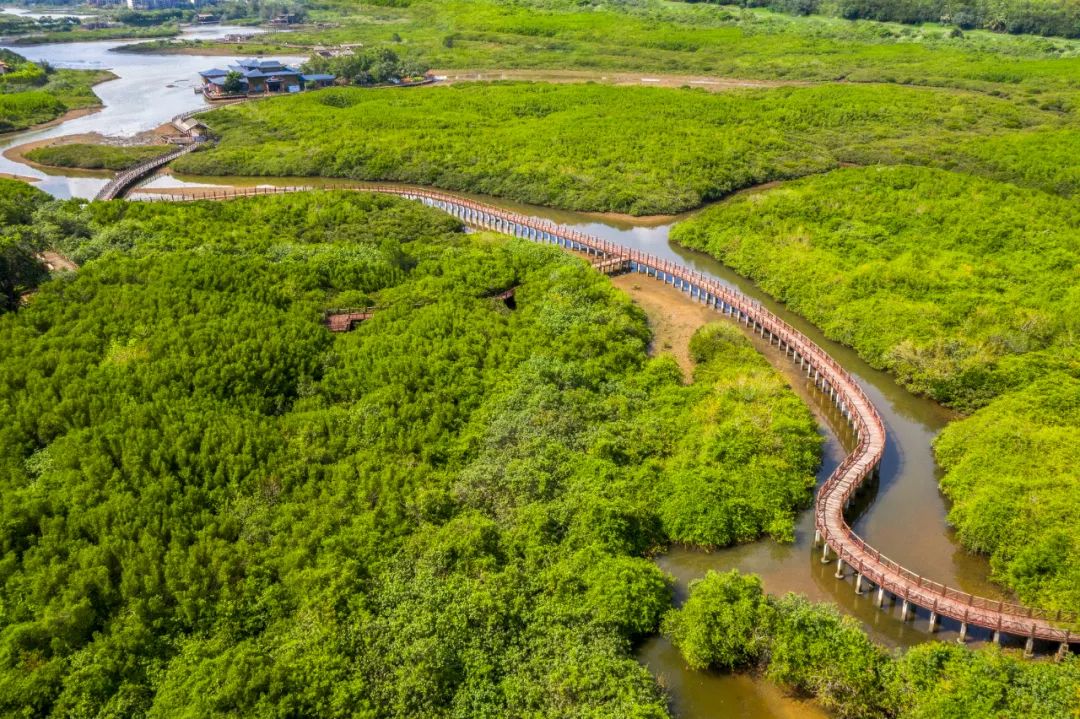 4条旅游线路,玩乐5天不重样!周末"趣"玩在澄迈