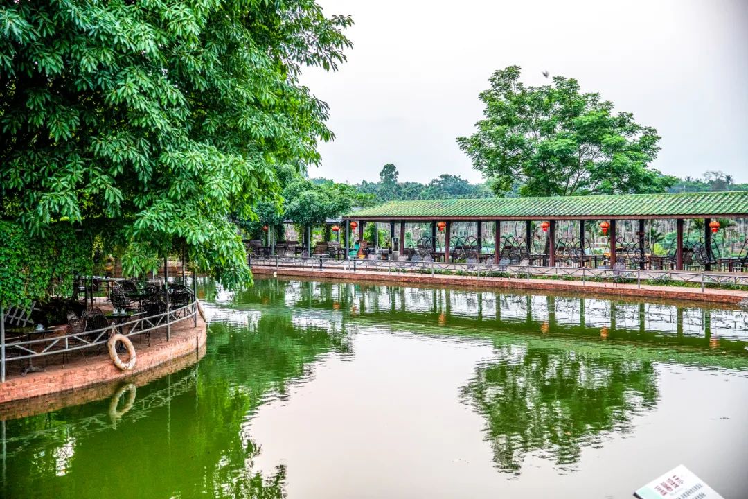 4条旅游线路,玩乐5天不重样!周末"趣"玩在澄迈