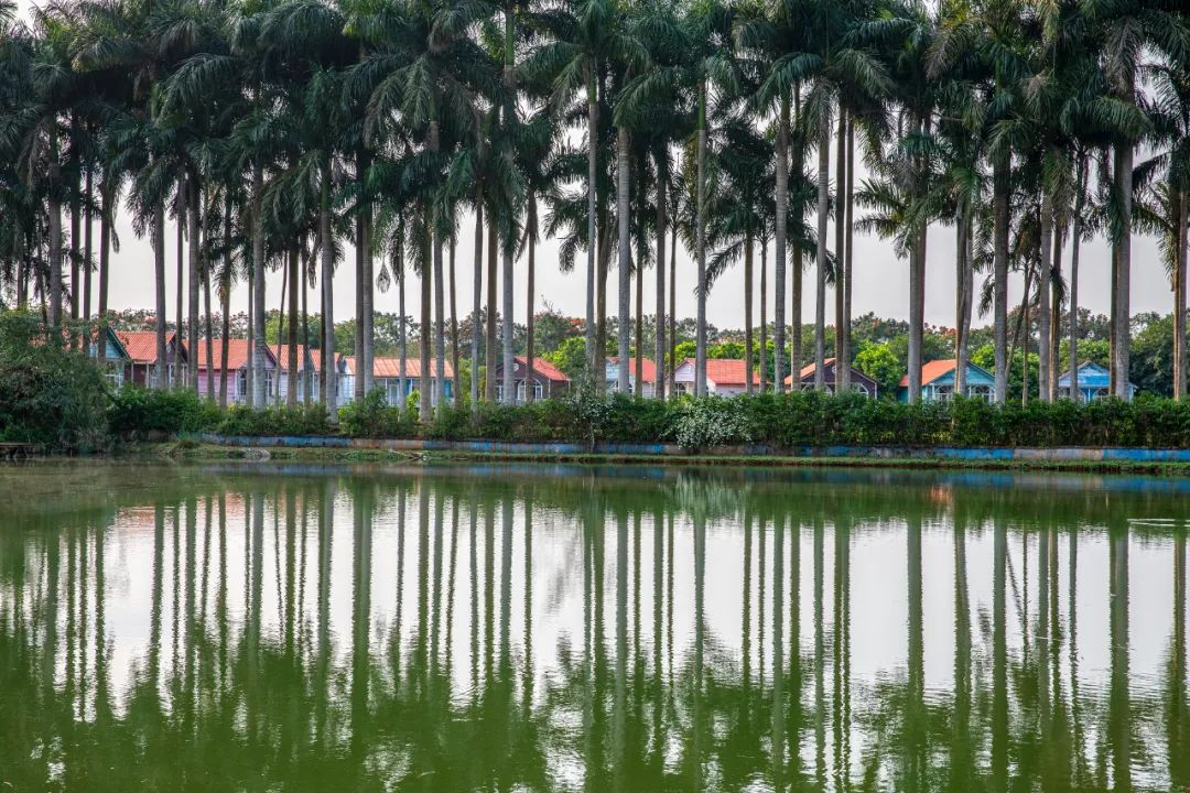 4条旅游线路,玩乐5天不重样!周末"趣"玩在澄迈