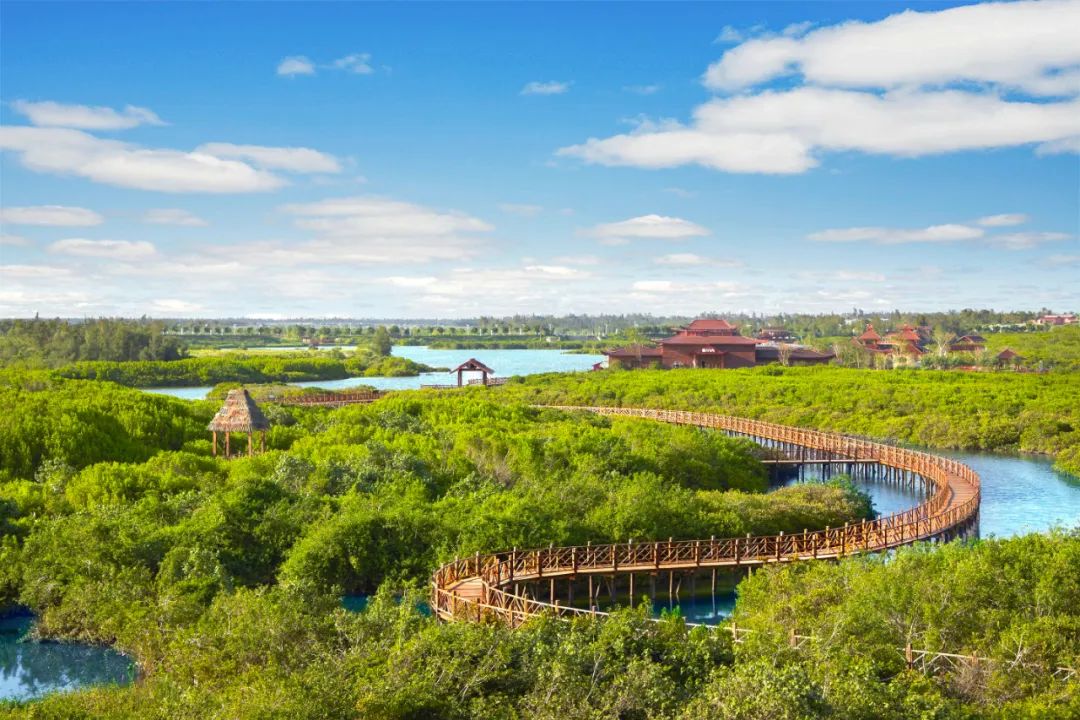 4条旅游线路,玩乐5天不重样!周末"趣"玩在澄迈