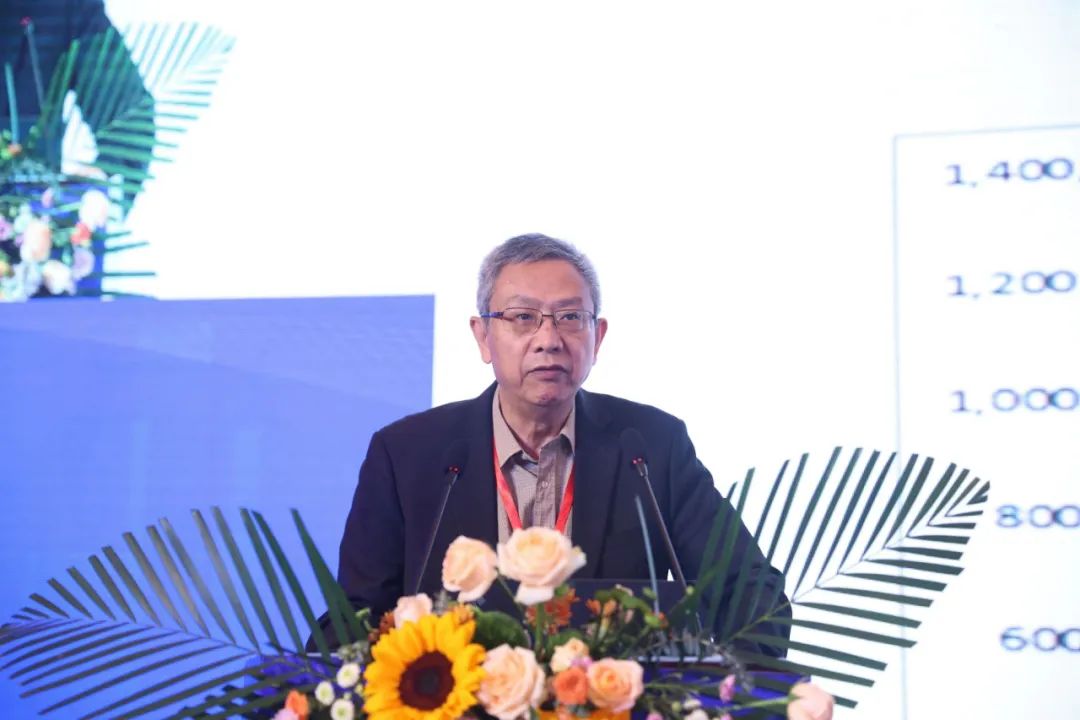 华夏新供给经济学研究院创始院长,财政部财政科学研究所原所长贾康"