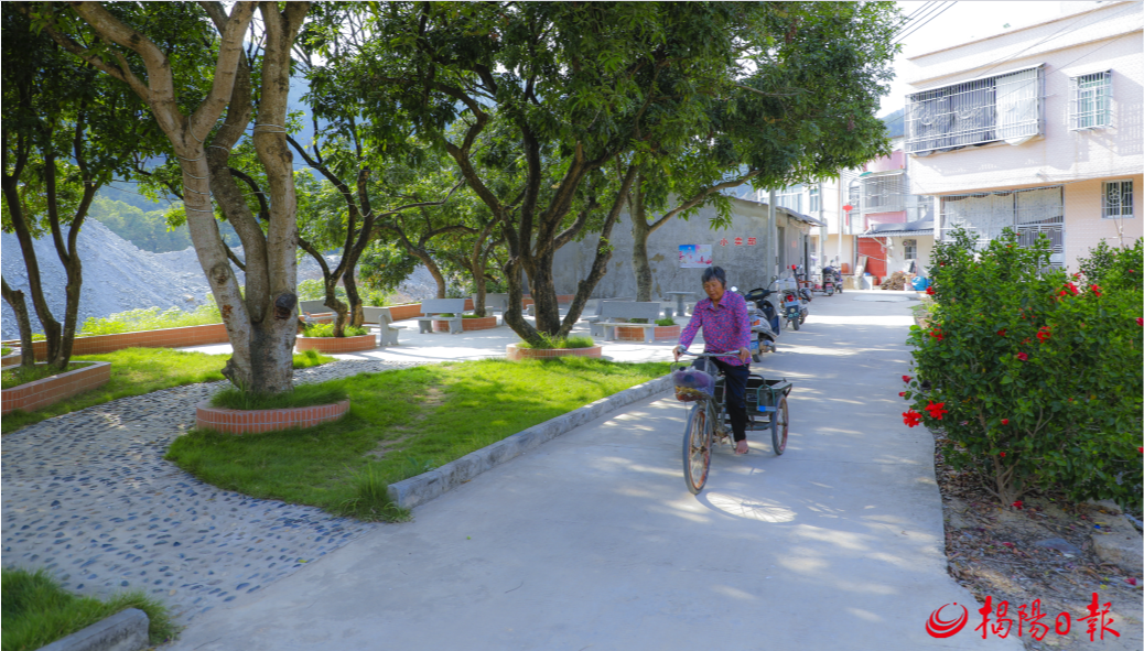 聚焦百千万工程 | 聚焦典型强示范,惠来县纵深推进"百千万工程"