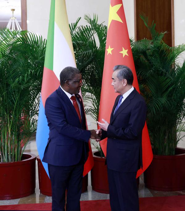 王毅会见科摩罗外交部长杜勒卡迈勒