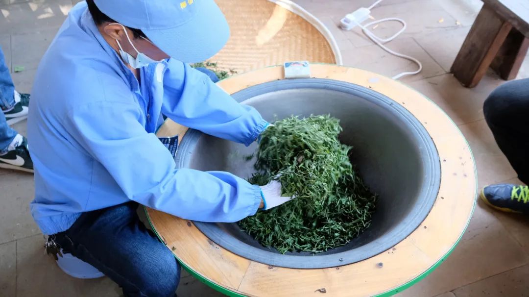 4条旅游线路,玩乐5天不重样!周末"趣"玩在澄迈