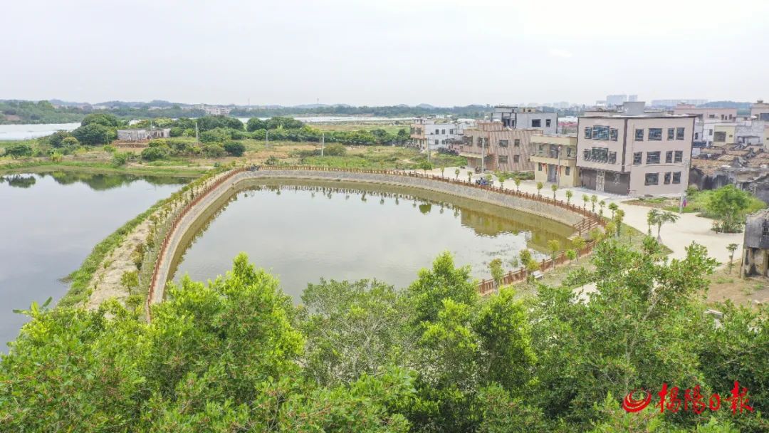 聚焦百千万工程 | 聚焦典型强示范,惠来县纵深推进"百千万工程"