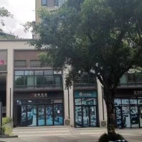 带你看房--带你看房温泉之乡巴南-巴南区龙洲湾融信澜湾(2024版)
