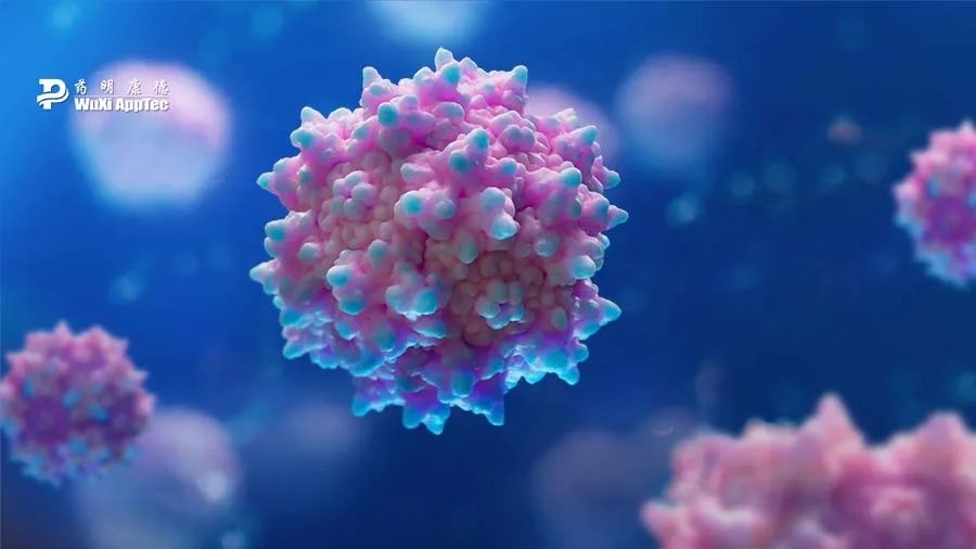 壁纸 花 桌面 900_506