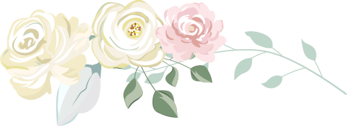 公社成员一起分享镜头下的烂漫花海绣球花最近小雁塔一大片绣球花海"