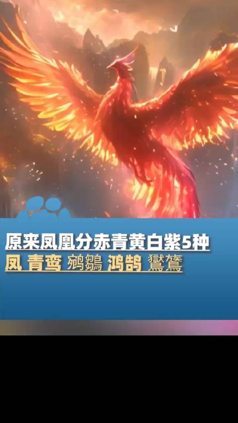 河南台《中国瑞兽》AI短片…|中国瑞兽_新浪新闻
