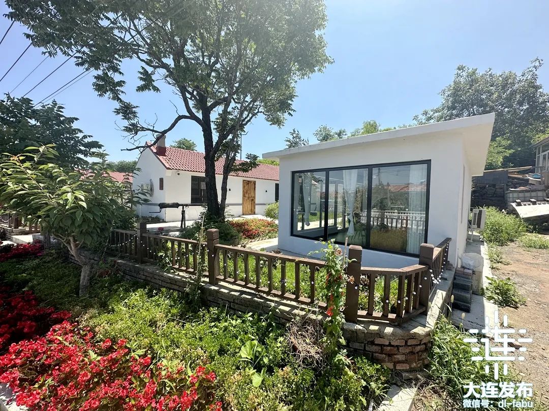 文化6月,多重活动精彩开启