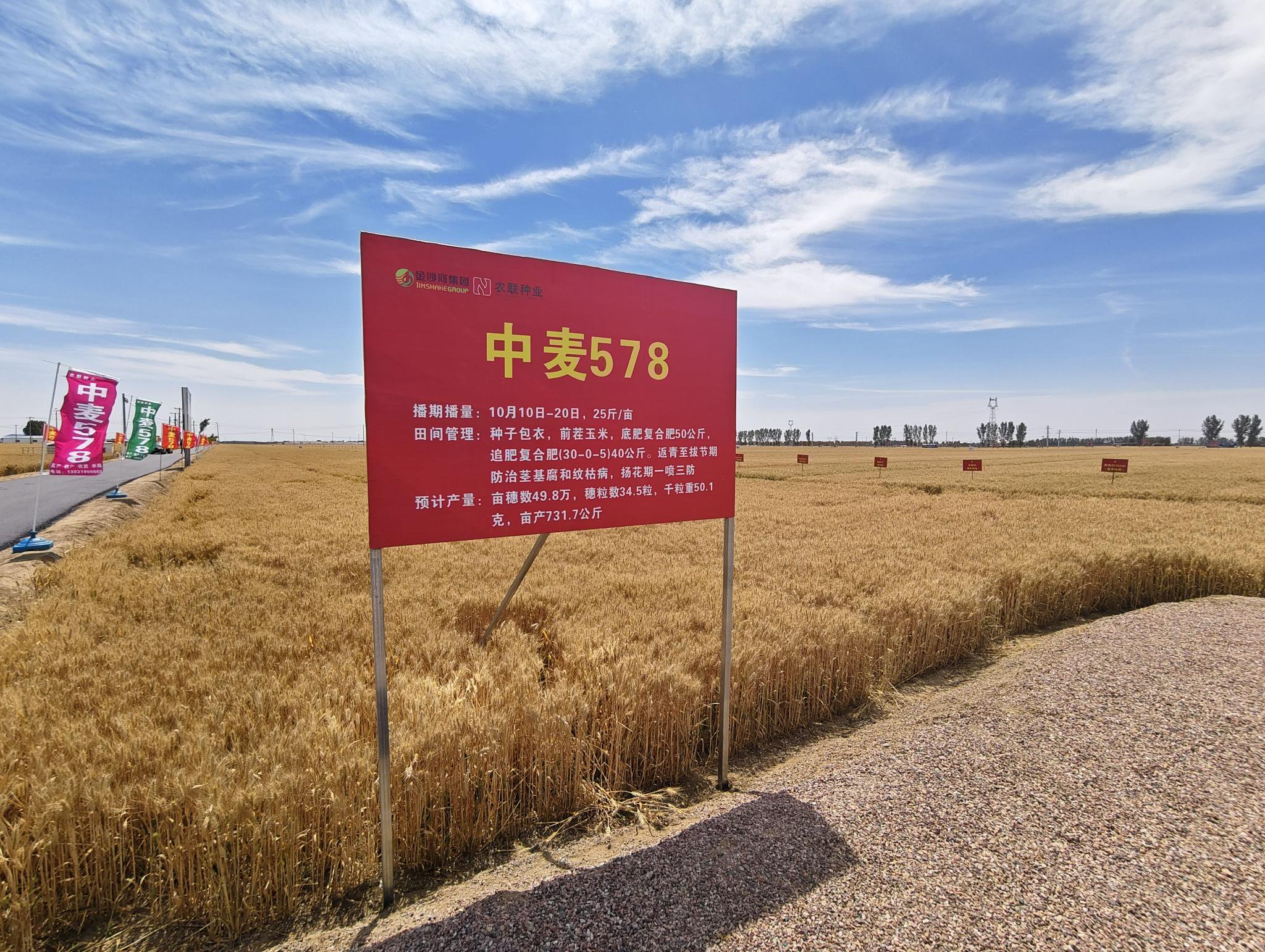 "2023年该品种推广了629万亩,居全国第8位,实现了优质优价.