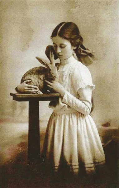 对于那些世界知名动漫形象,你一定能说出不少,比得兔就是其中的佼佼者