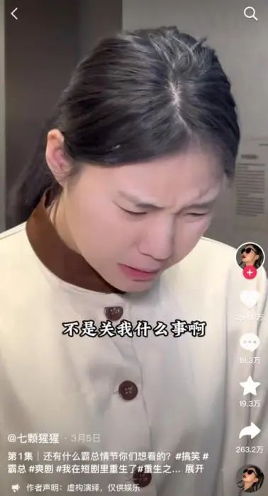 "打工人嘴替"网红王妈塌房,你"破防"了吗?