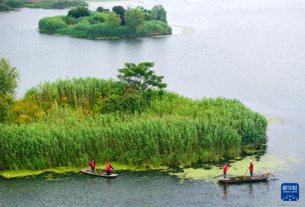 6月5日,志愿者在湖南省常宁市洋泉水库清理水面漂浮物.