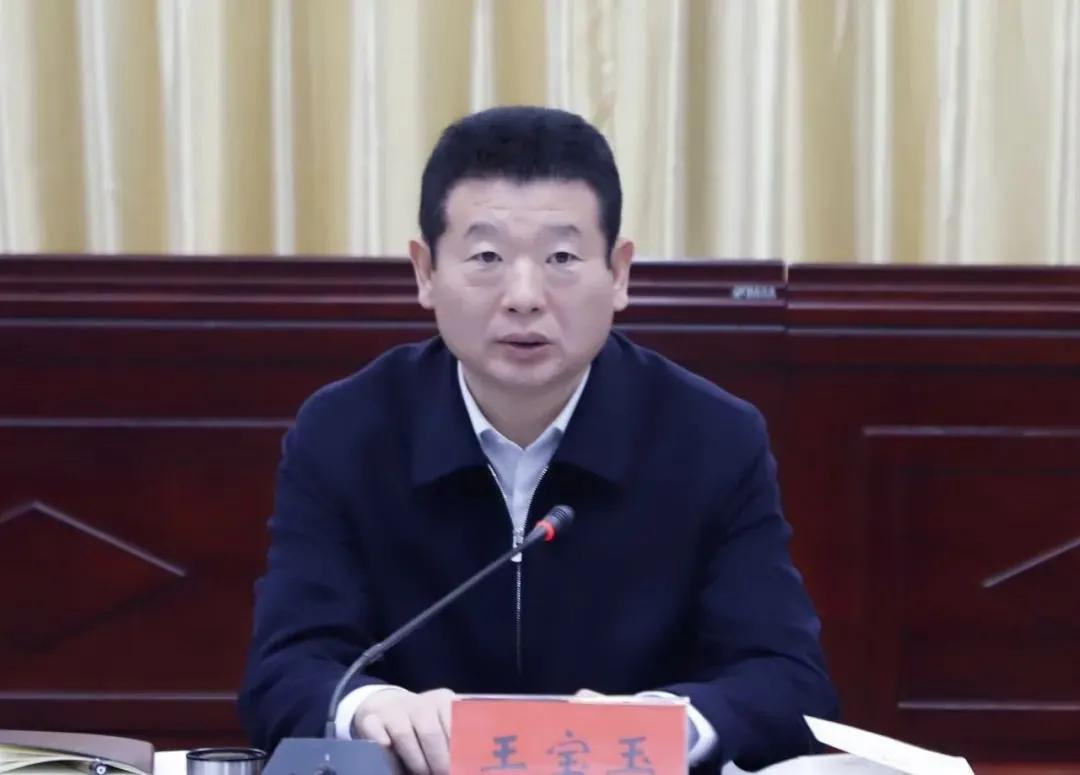 河南林州市委原书记王宝玉被降级