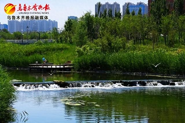 作为乌鲁木齐市唯一一条全年流动的河的水磨河入选自治区2024年首批"