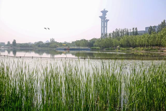 朝阳八大商业综合体今年建成开业,奥森公园将启动升级改造