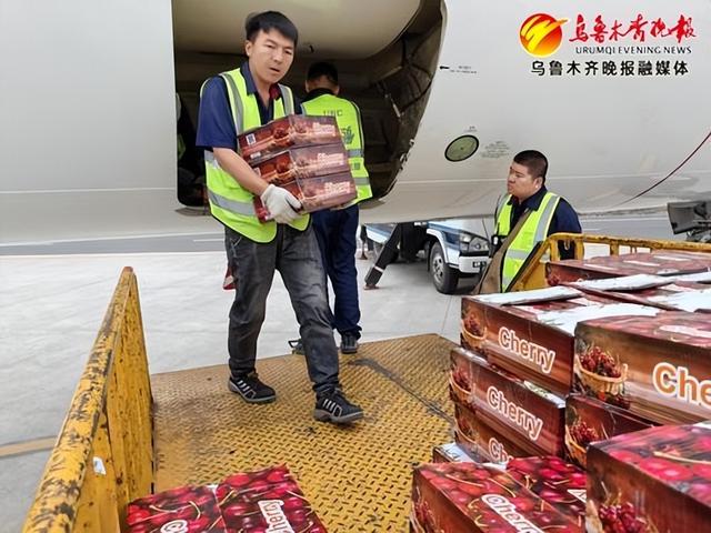 一颗塔吉克斯坦樱桃的跨境之旅