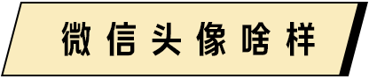 别跟北京男谈钱