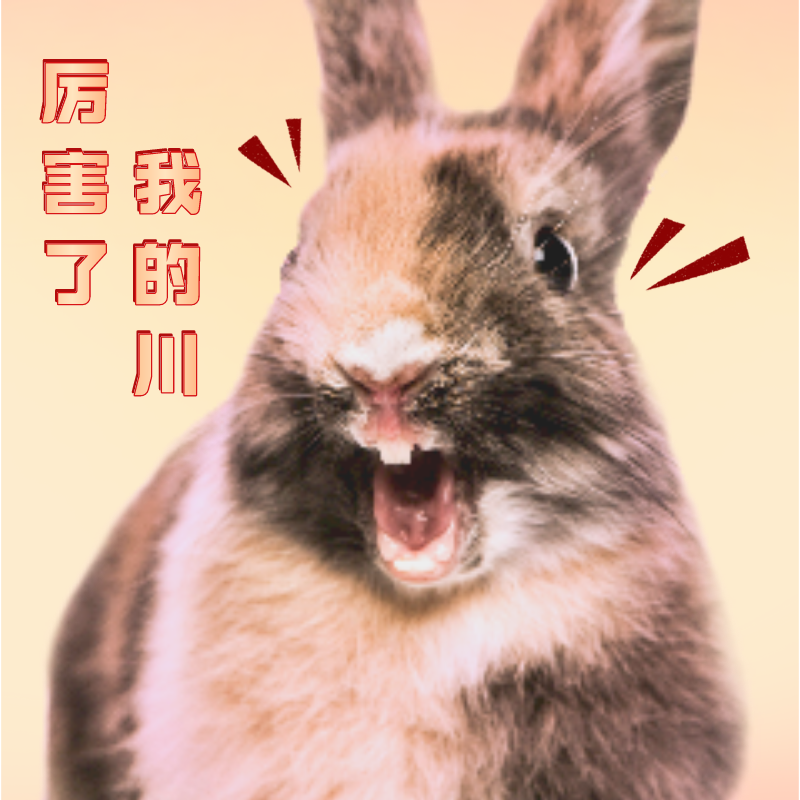 自贡人吃兔兔,到底有多认真?|肉兔无抗养殖技术规范_新浪财经_新浪网