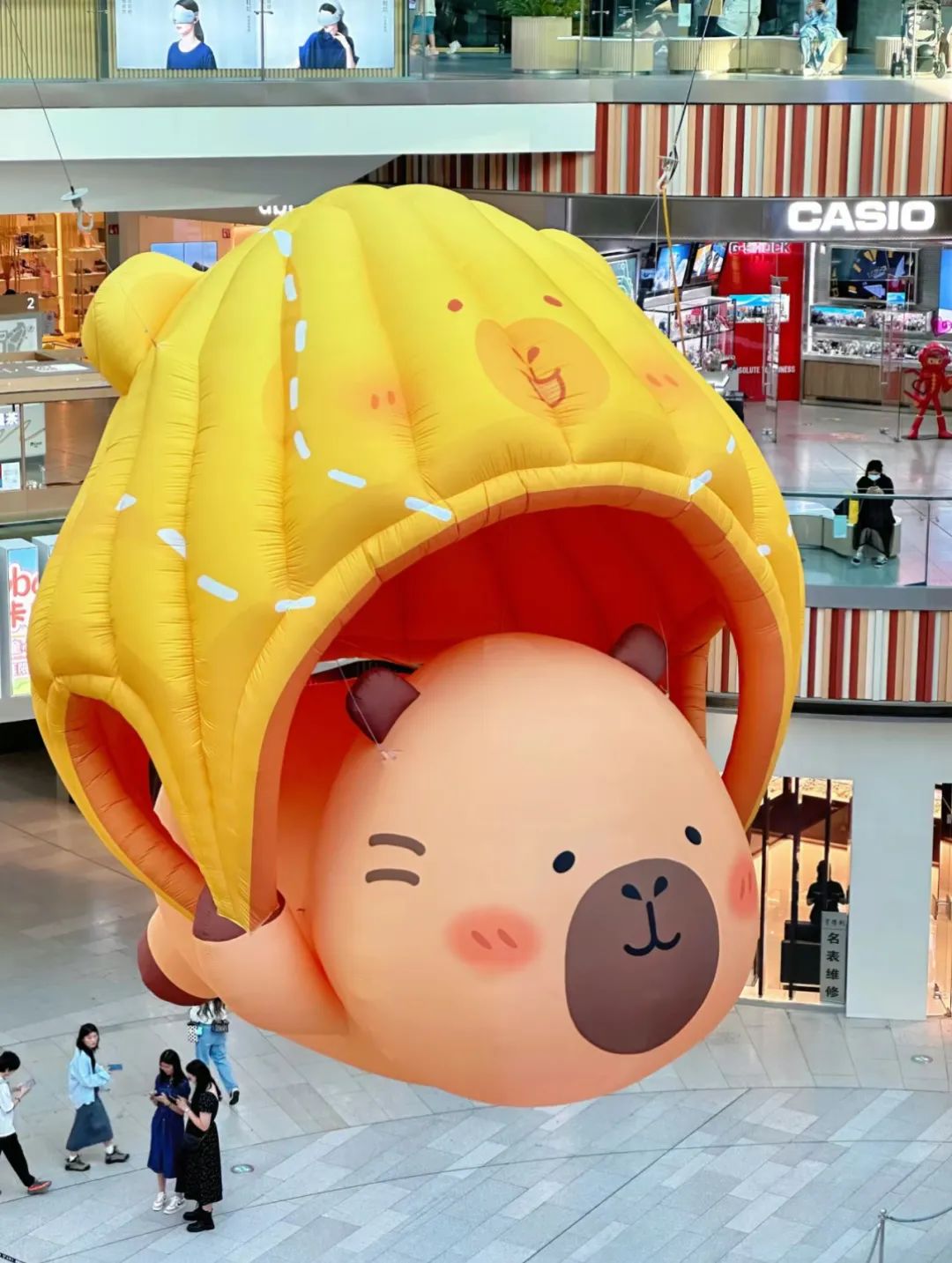 巨型飞天豚豚崽闪亮登场!
