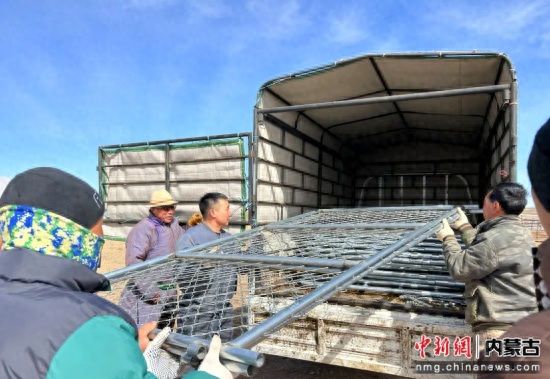 中新网内蒙古新闻6月7日电(武彩霞 王晓洁) "嘎查出资给我们发养牛用