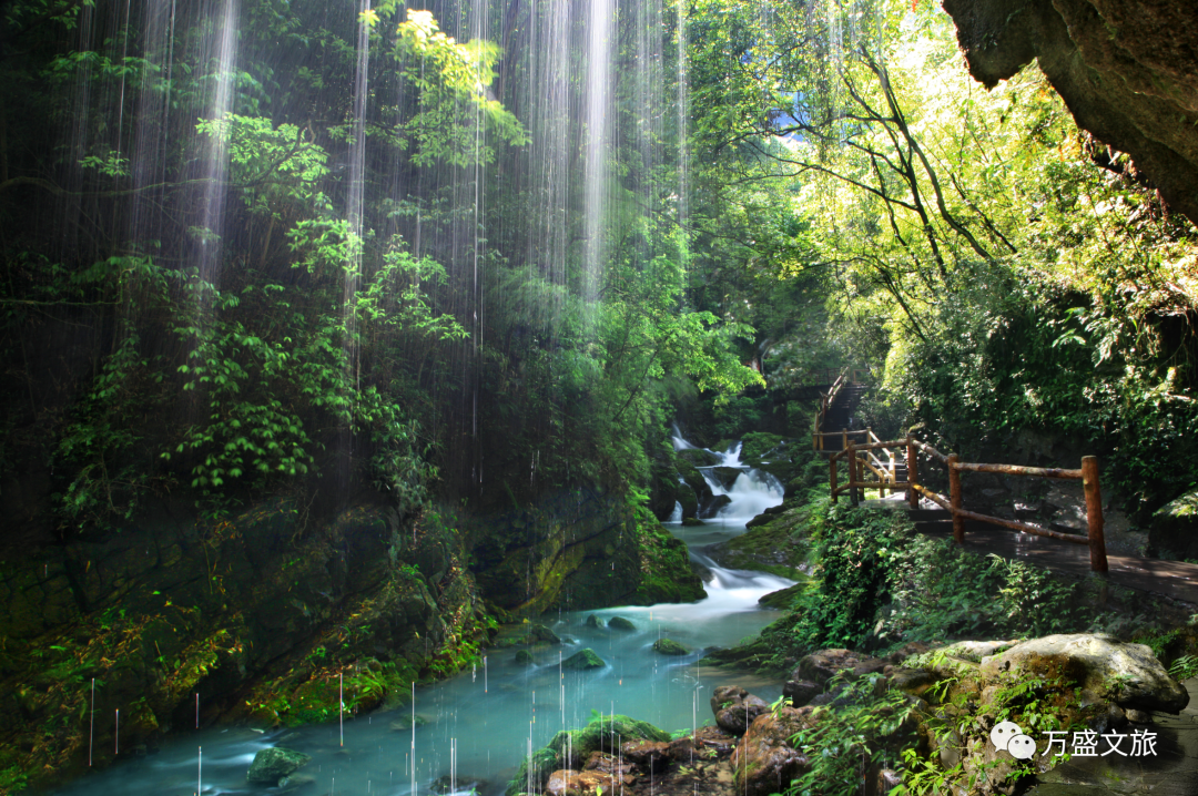 綦江区内的黑山谷景区,其优美的自然环境资源同样成为露营的热门目的