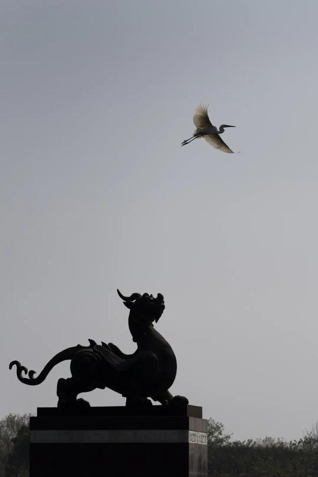 "大汉文明看海昏"全国摄影大赛征稿,旅游摄影协会会员免门票