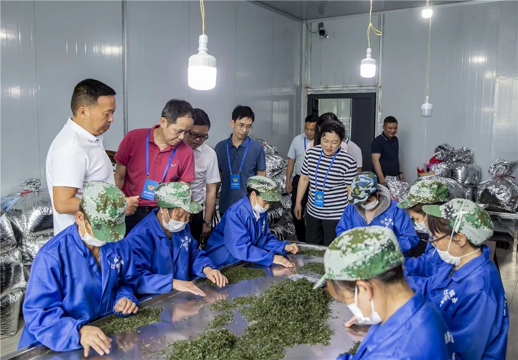 来了!早闻政协