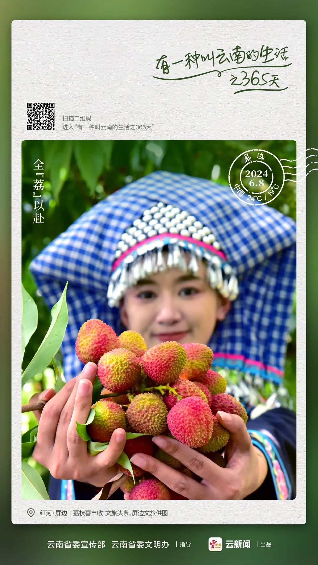 来自云南省红河哈尼族彝族自治州屏边苗族自治县山中的荔枝甜蜜上市