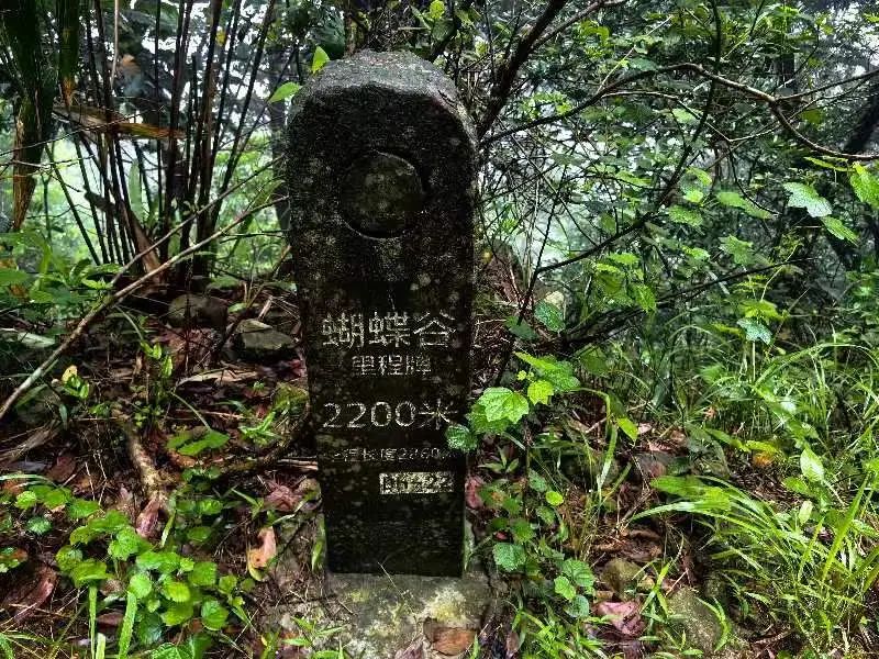 深圳梧桐山风景区发生塌方