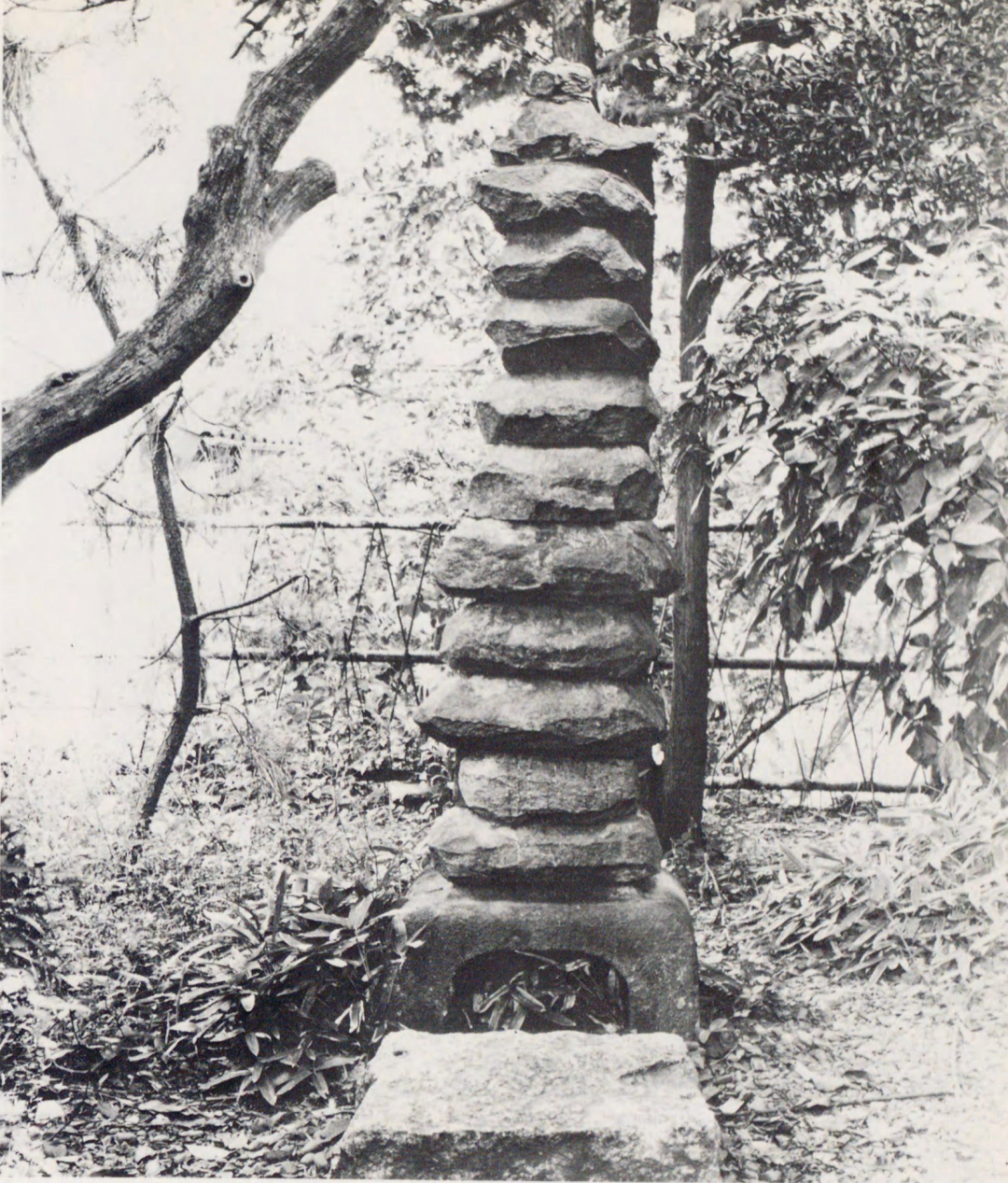 《念念平安》:"又是一封短信,我回得快,也盼你多多来信"