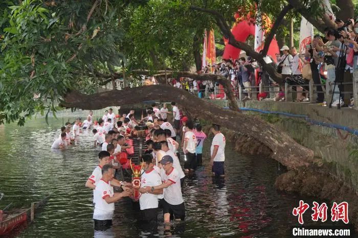 5月15日，“五月五·龙船鼓”起龙仪式在广州市荔湾区举行，村民装饰龙船。陆仁贾 摄