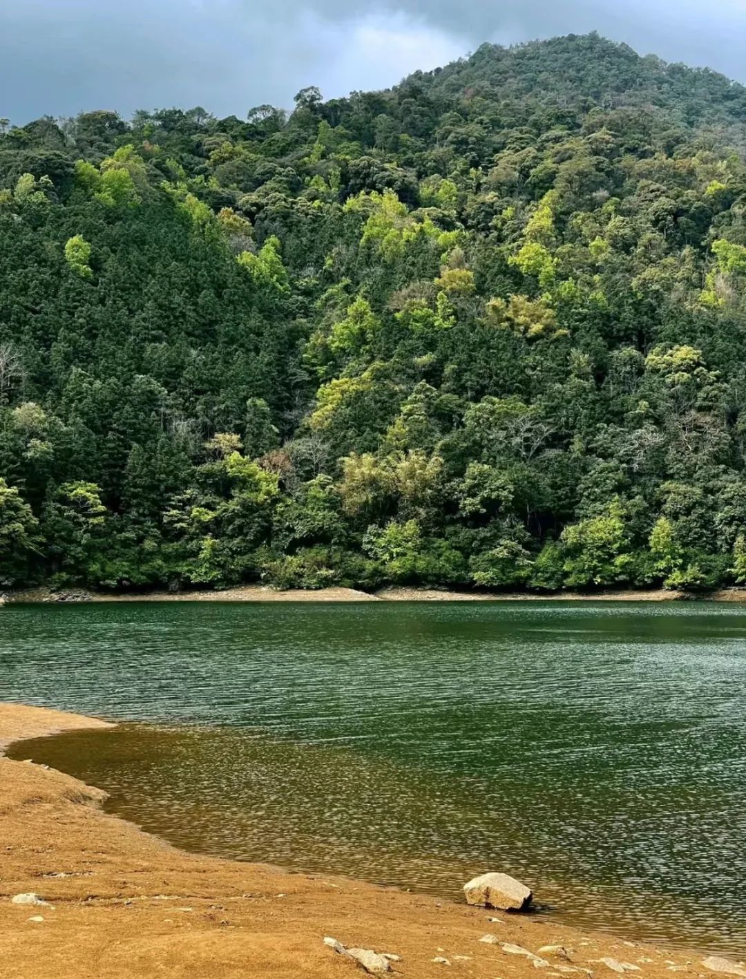 从化石门森林公园  (图源/小红书@不不卷了)这里有森森竹海和清清