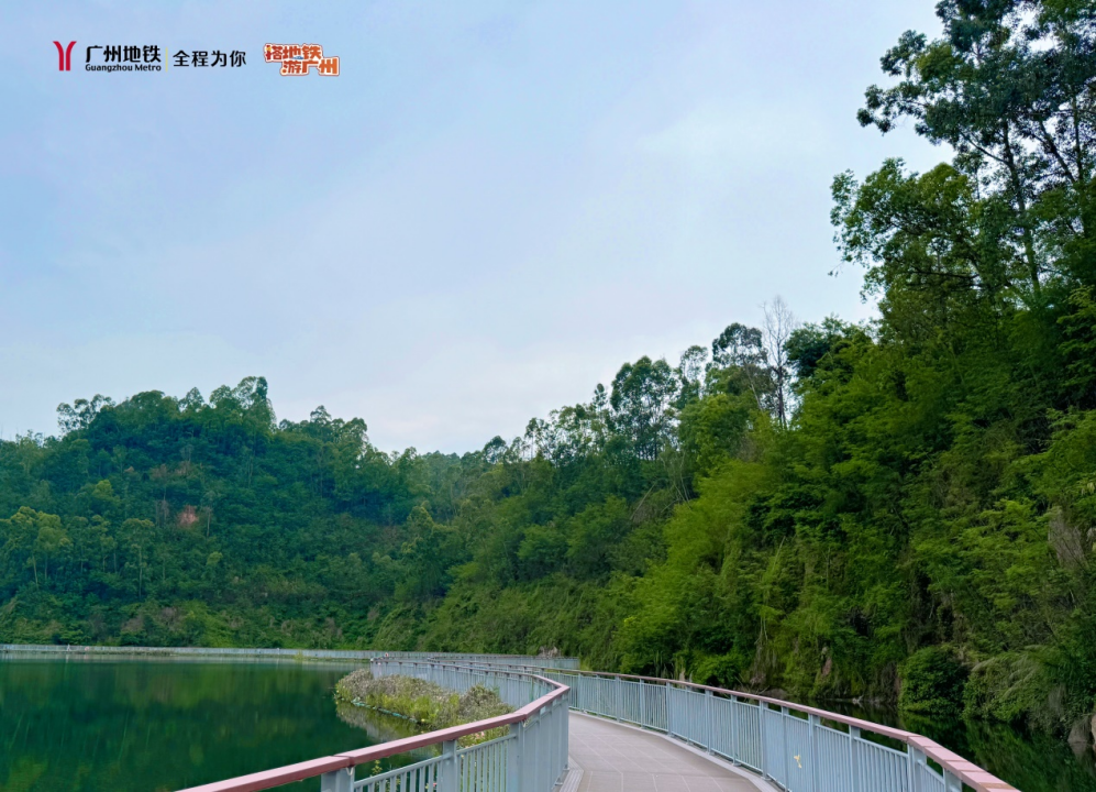 凤凰湖水系的整体规划中有七个子湖,是由6个废弃采石坑和一个洼地组成